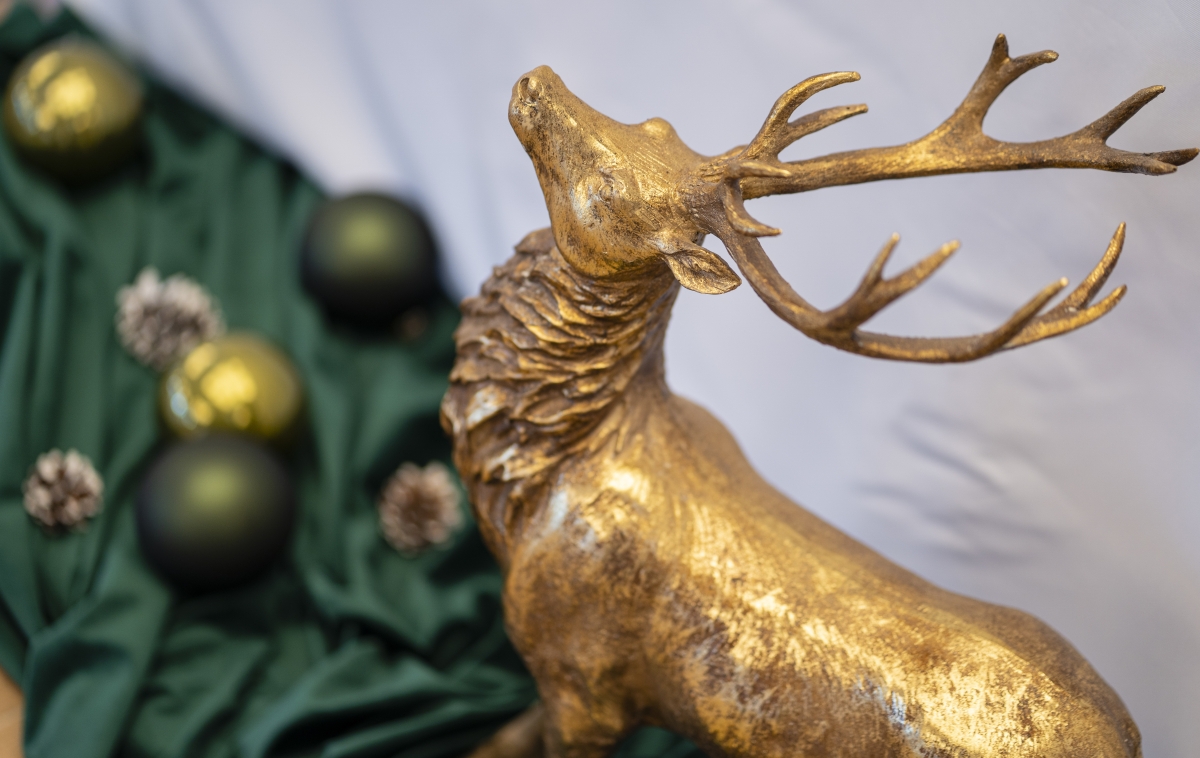 Karácsonyi esküvő