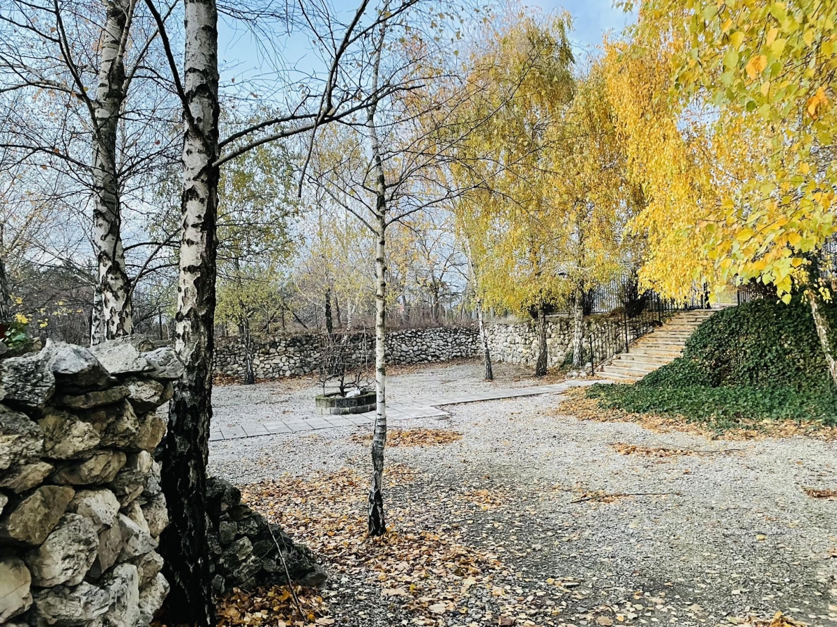 Pezsgő Borház Etyek kert