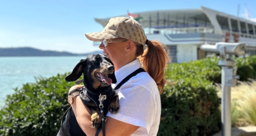 Balatonfüred Kutyabarát Balaton