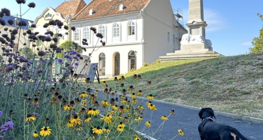 Szentendrei Skanzen kutyabarát múzeum