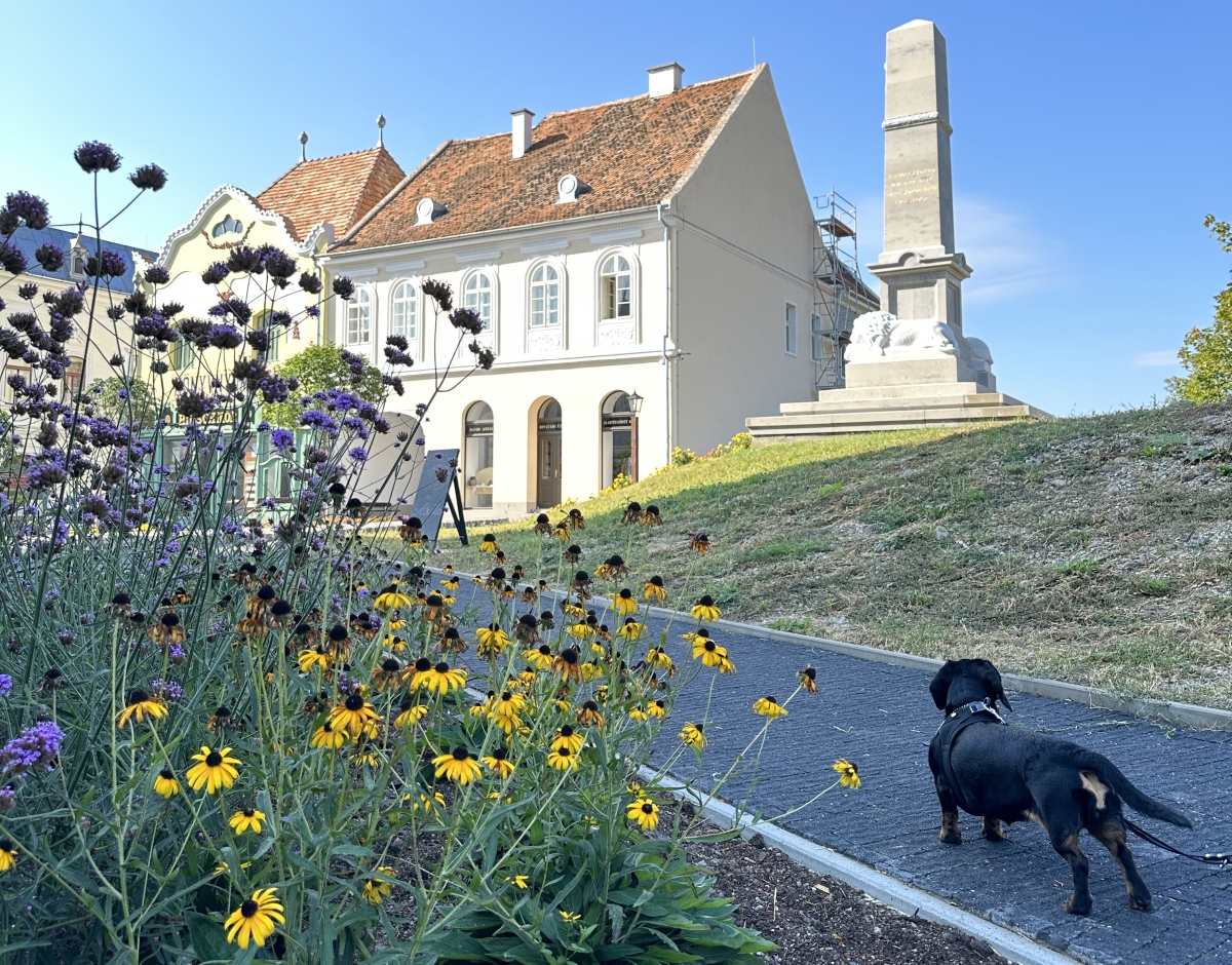 Szentendrei Skanzen kutyabarát múzeum