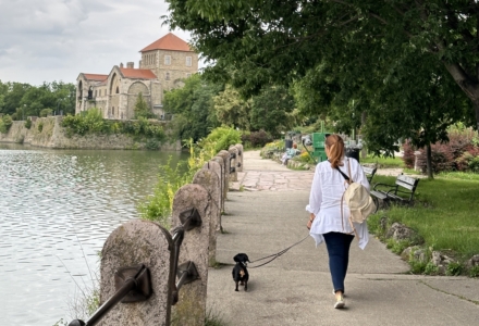 Tatai vár