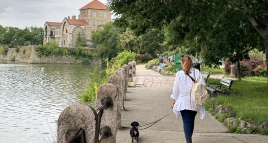 Tatai vár