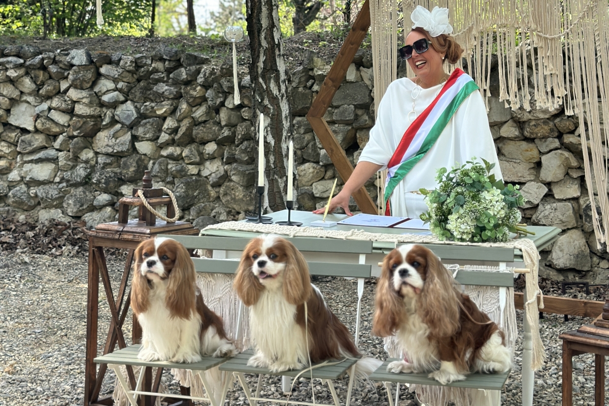 Pintér Andrea szertartásvezető