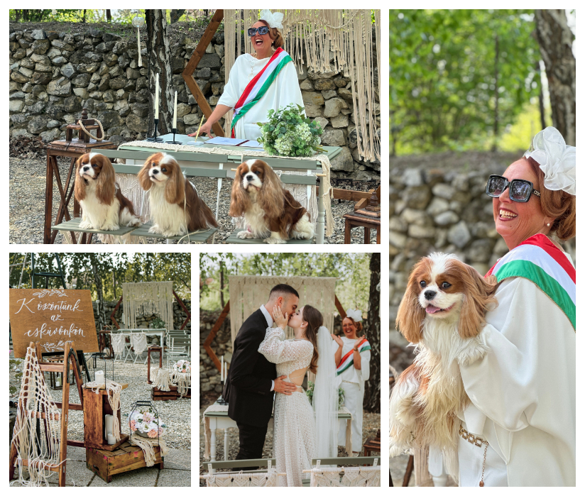 Pintér Andrea szertartásvezető