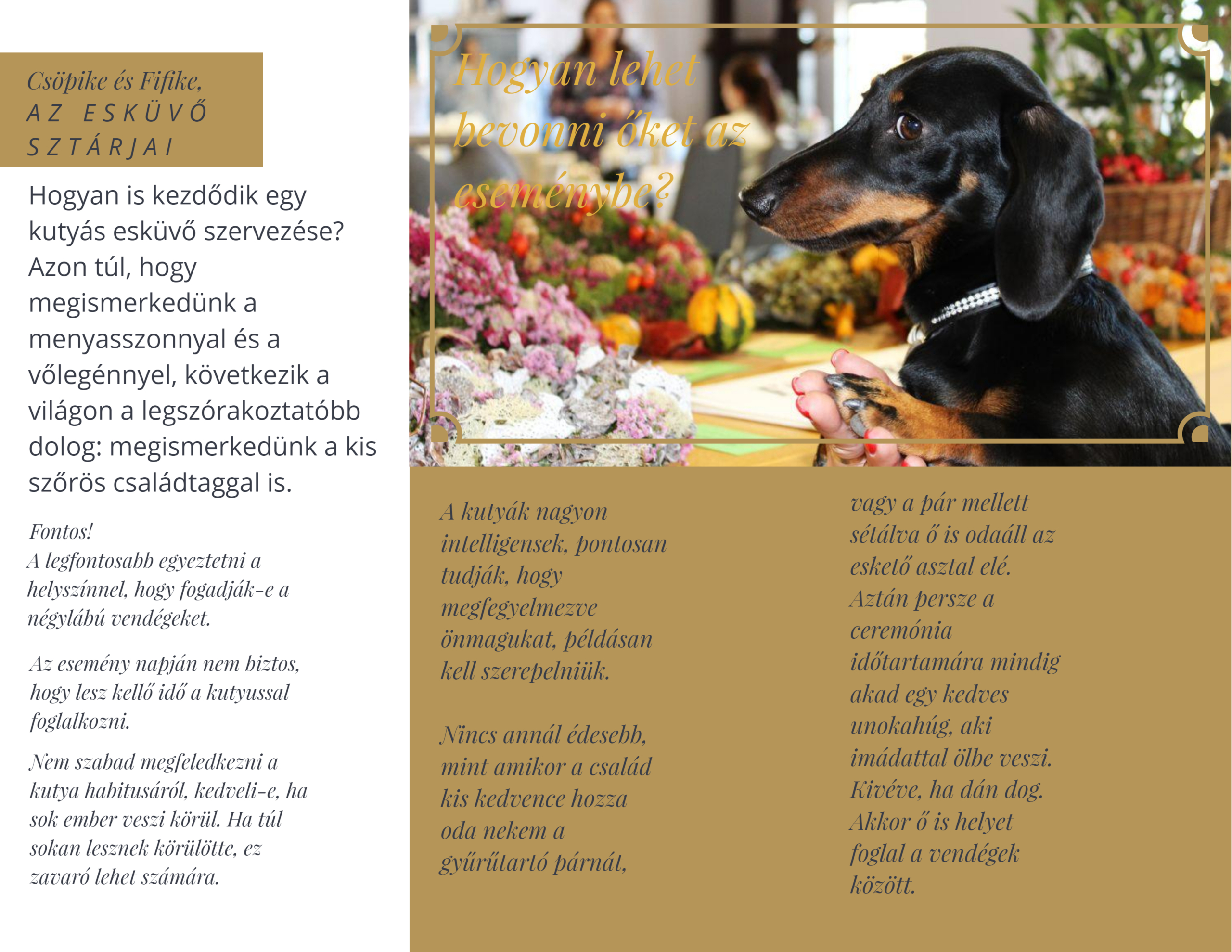 Kutyabarát esküvőszervező Pintér Andrea