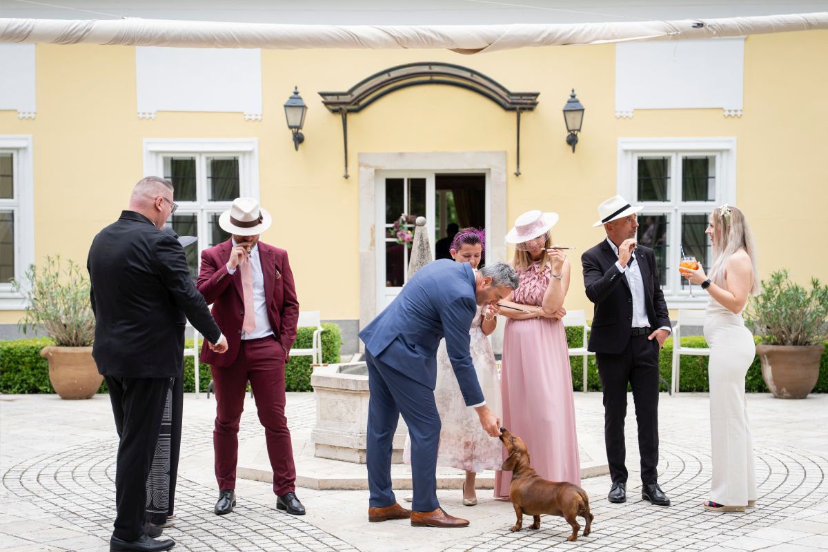 Prónay-kastély esküvő - kutyabarát