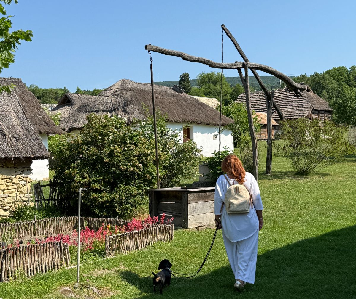 Pünkösd a szentendrei Skanzenben, Dióval sétálunk a virágzó kis kert mellett, és gyönyörű a gémeskút a napsütésben