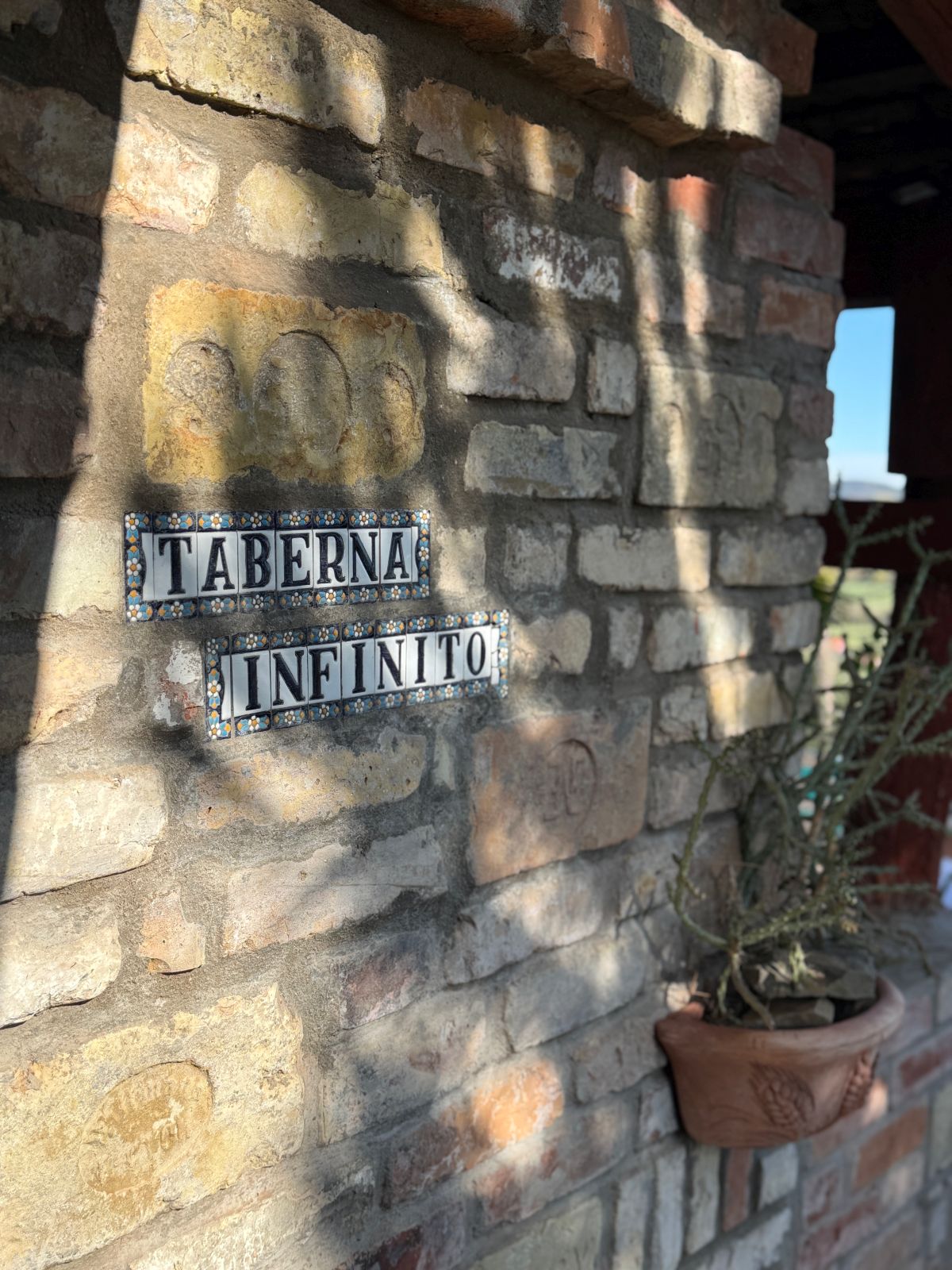 Taberna Infinito