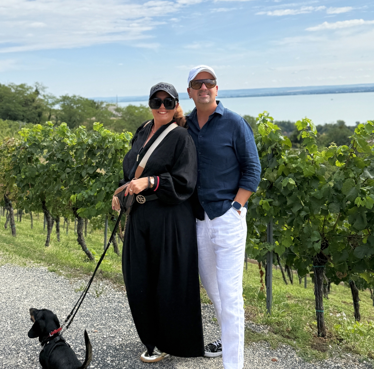 Laposa Borterasz